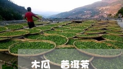 木瓜 普洱茶/2023042892439